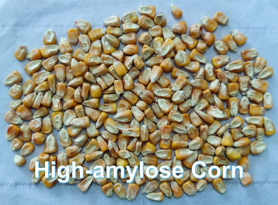Bắc Kinh YIGLEE TECH Chất tinh bột kháng cao amylose Ngô tinh bột dung dịch chất xơ ăn uống