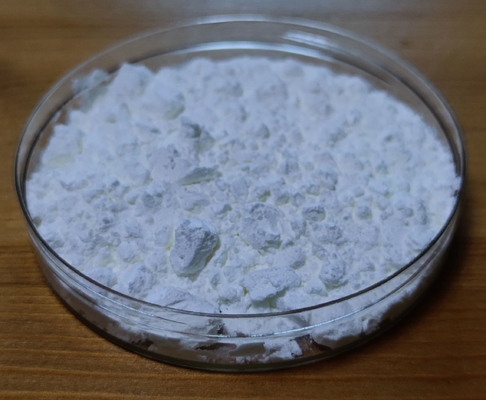 Nấm gạo có hàm lượng amylose cao Nấm kháng GI thấp Không biến đổi gen